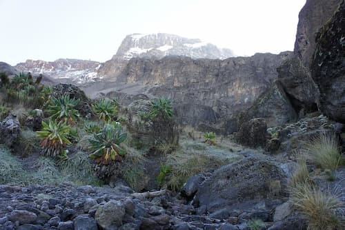 Best Season for Kilimanjaro Expedition