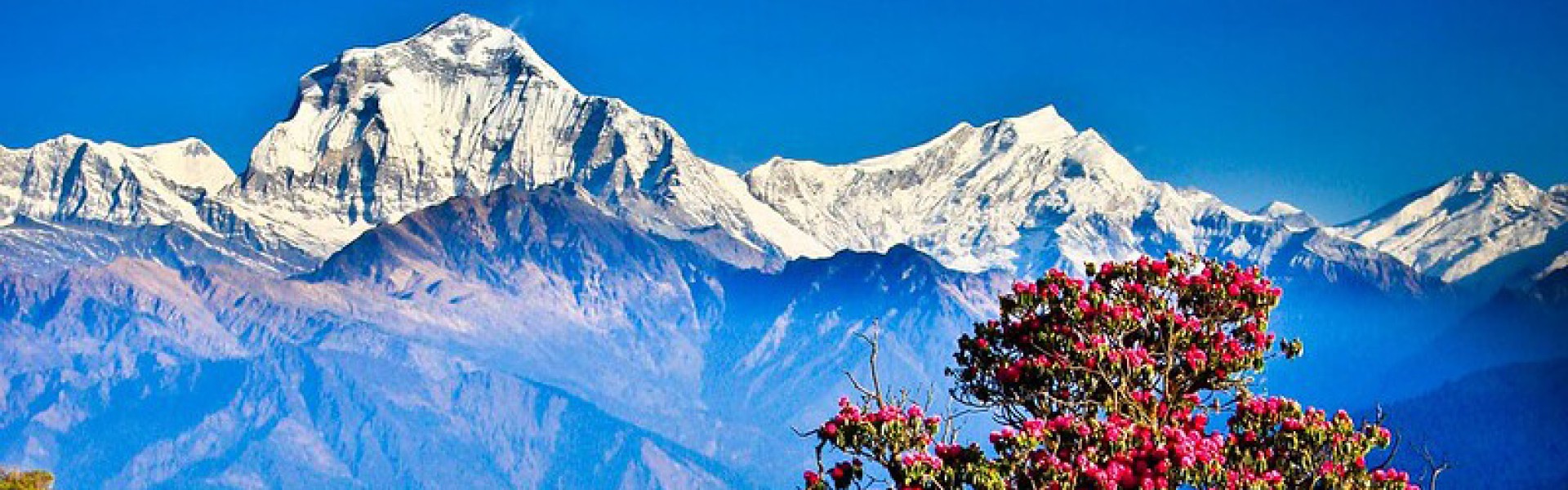 Best 7 Family Trekking Routes in Nepal