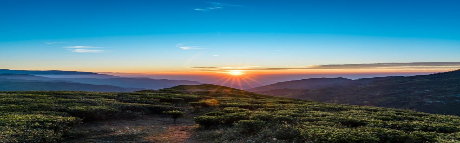 Mardi Himal Trek: 6-Day Guide, Cost & Itinerary